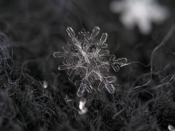 amazing_close_ups_snowflakes