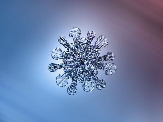 amazing_close_ups_snowflakes