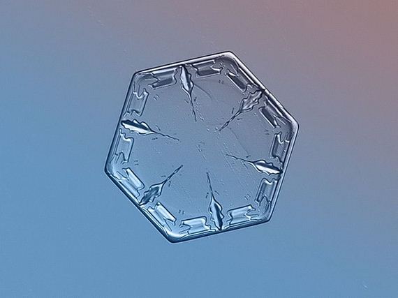 amazing_close_ups_snowflakes