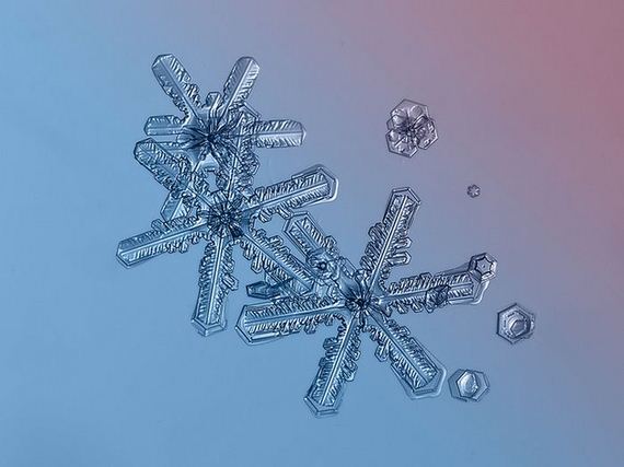 amazing_close_ups_snowflakes