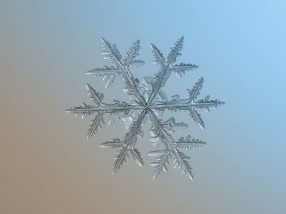 amazing_close_ups_snowflakes