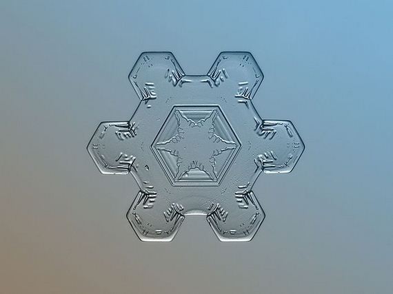 amazing_close_ups_snowflakes