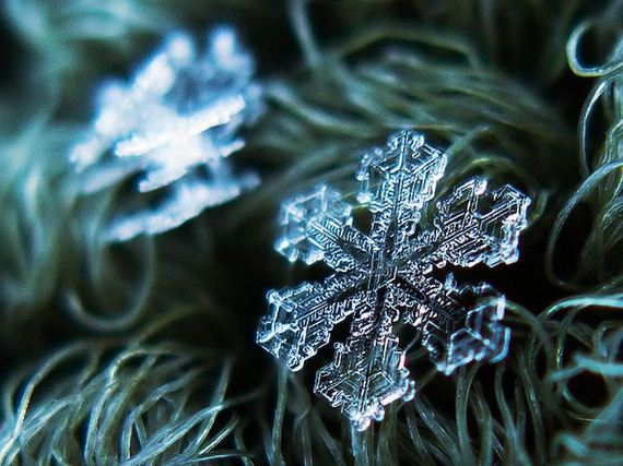 amazing_close_ups_snowflakes