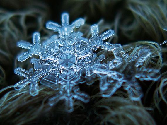 amazing_close_ups_snowflakes