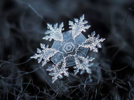 amazing_close_ups_snowflakes