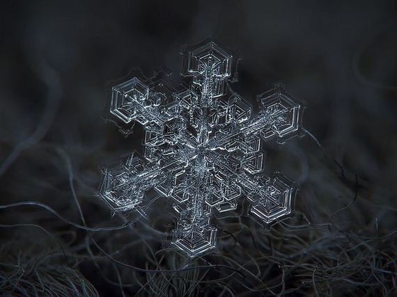 amazing_close_ups_snowflakes