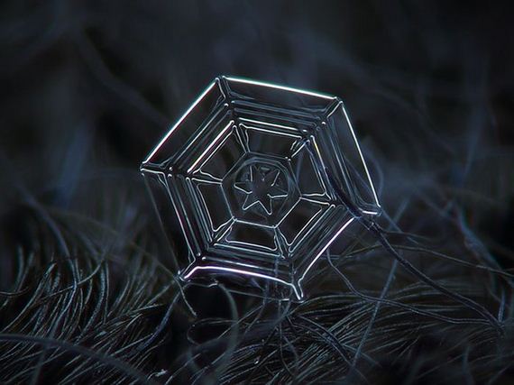amazing_close_ups_snowflakes