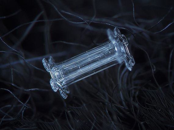 amazing_close_ups_snowflakes