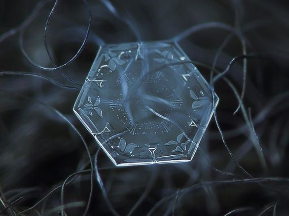 amazing_close_ups_snowflakes