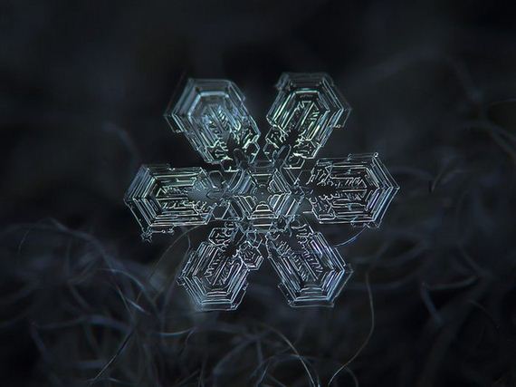 amazing_close_ups_snowflakes