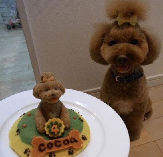 animals_that_are_having_the_best_birthday_ever