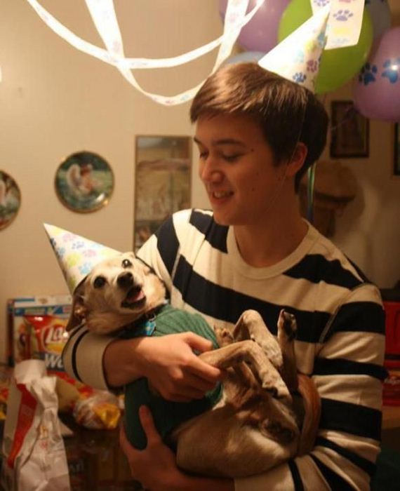 animals_that_are_having_the_best_birthday_ever