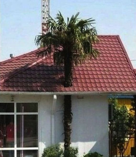 architects_who_completely_screwed_up_their_one_job_17