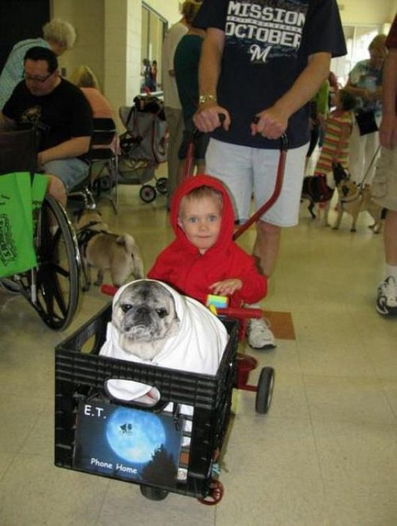 awesome_parenting