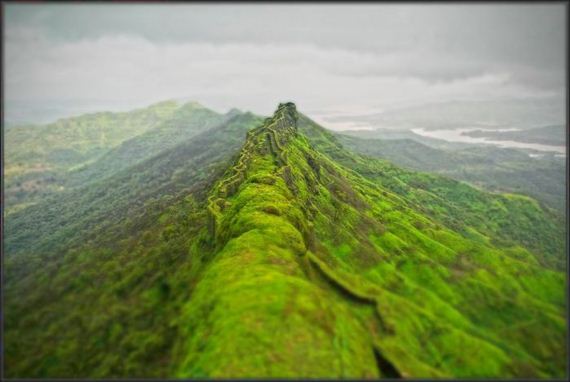 awesome_photo