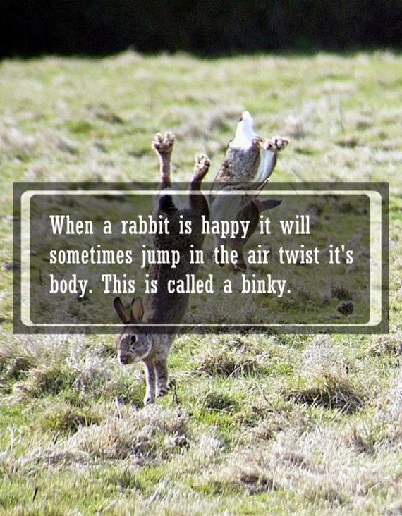 awwducational