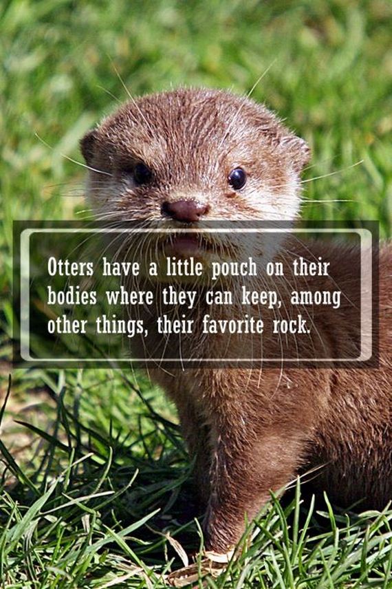 awwducational