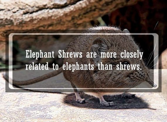 awwducational