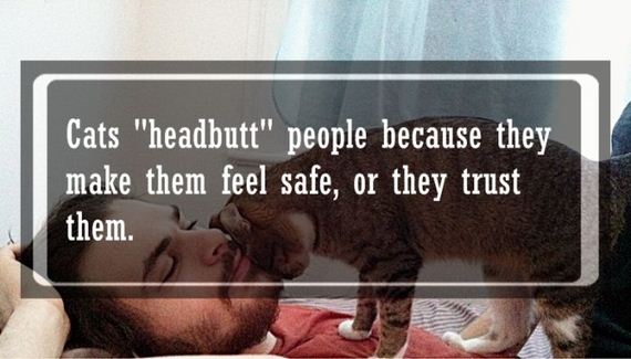 awwducational