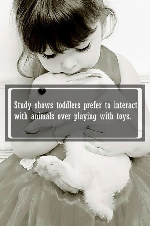 awwducational