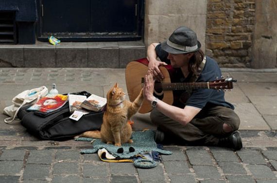 beautiful-moments
