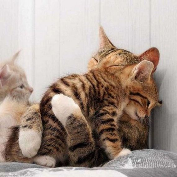 beautiful-moments