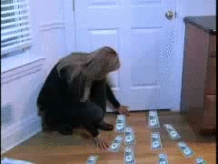 behind_the_gif