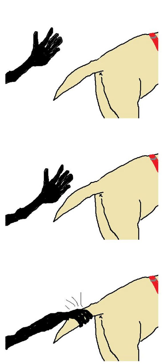 behind_the_gif