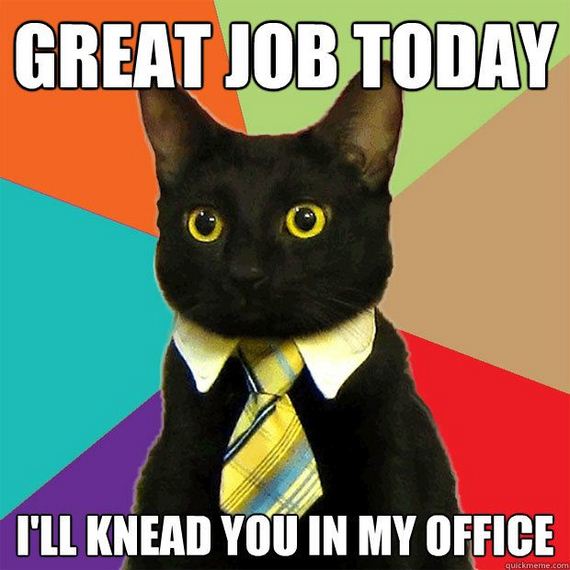 business_cat