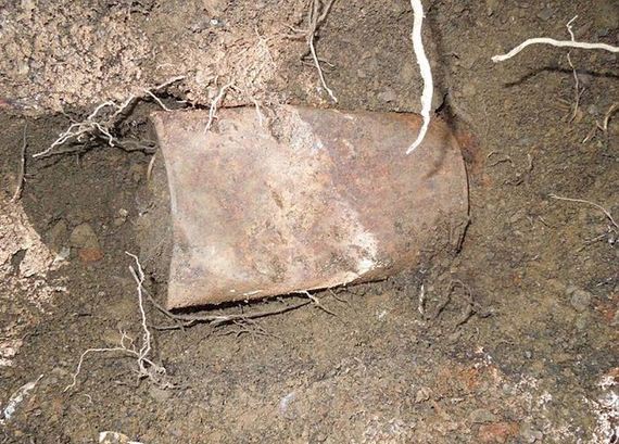 california_couple_finds_$10M