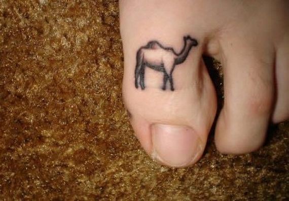 camel-toe-once