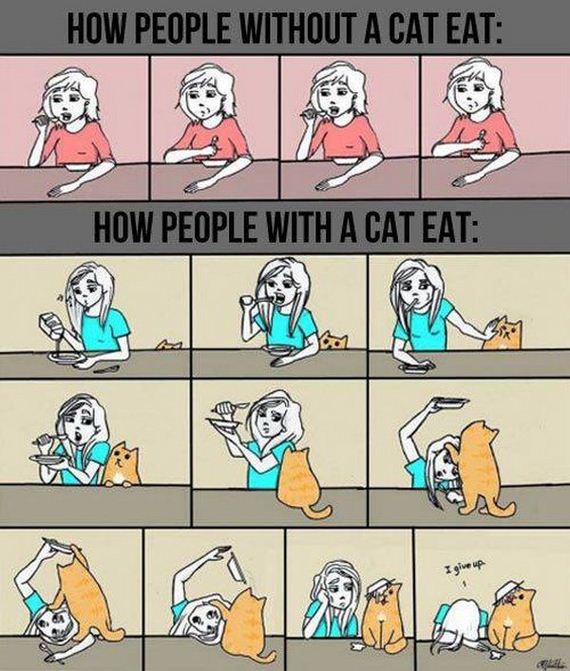 cat_owners_will_understand