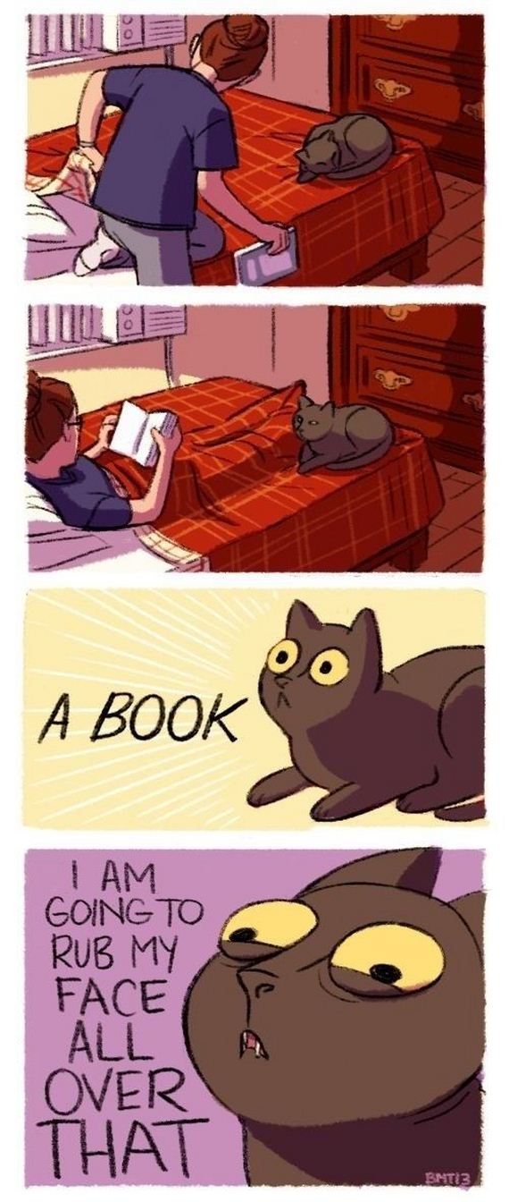 cat_owners_will_understand