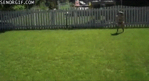 children_fail