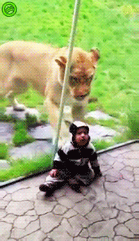 children_fail