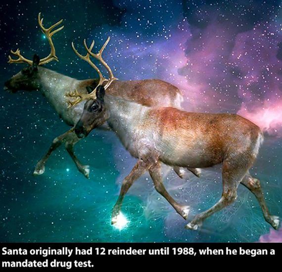 christmas-facts-011