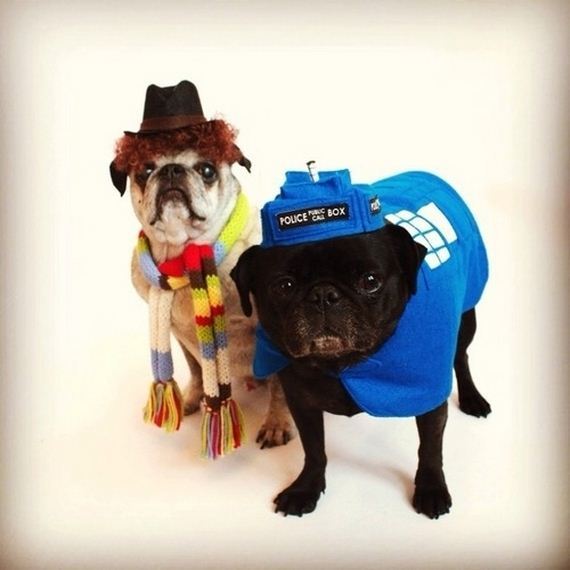 costumes-that-prove-pugs