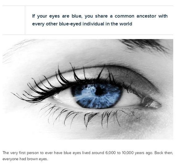 crazy_facts_about_your_eyes