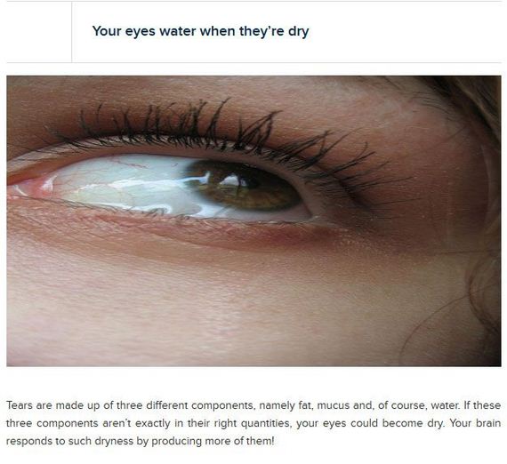 crazy_facts_about_your_eyes
