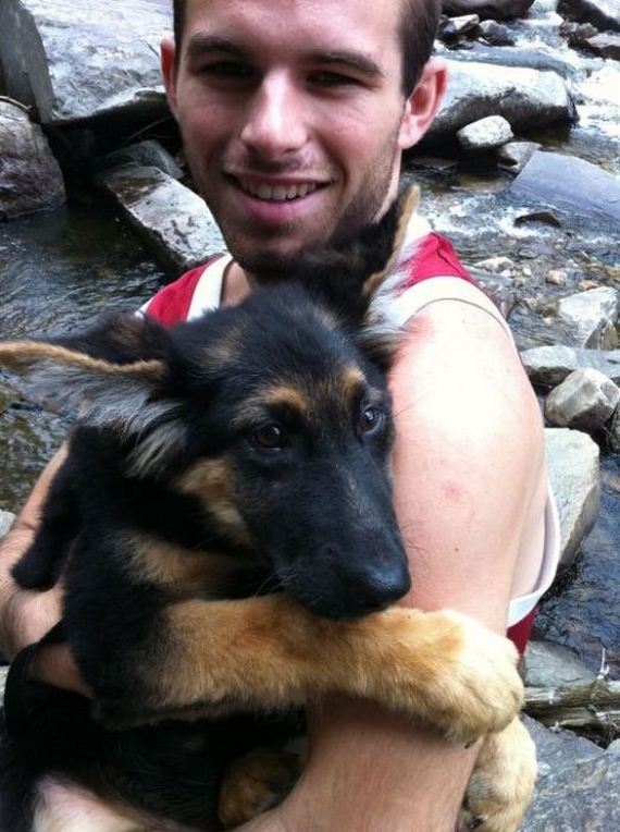cute_dogs