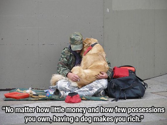 dog_quotes