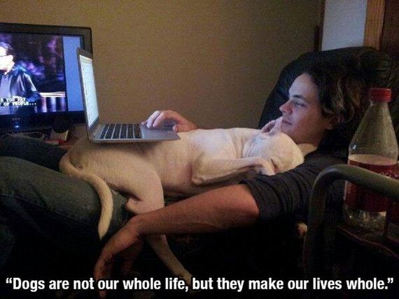 dog_quotes