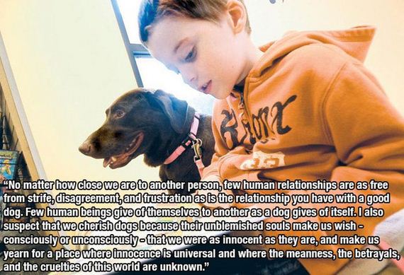 dog_quotes