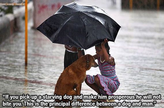 dog_quotes