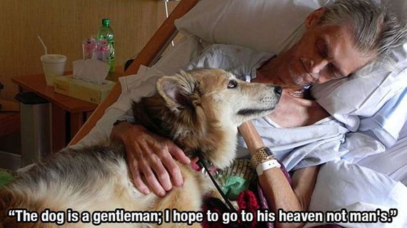 dog_quotes