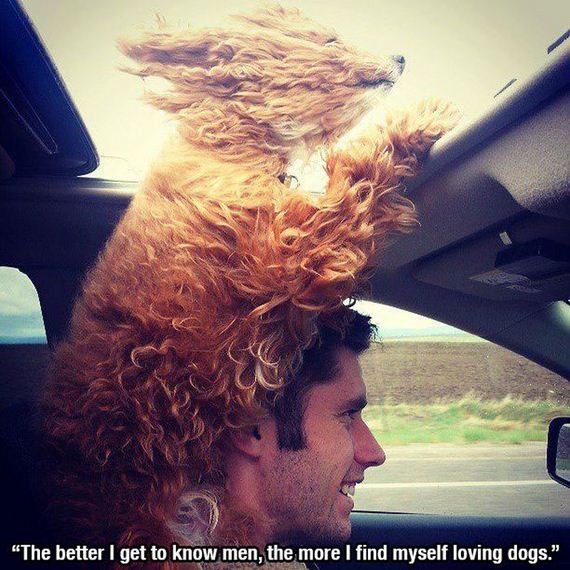 dog_quotes