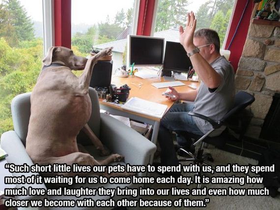 dog_quotes