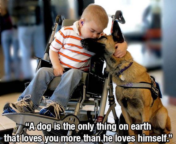 dog_quotes