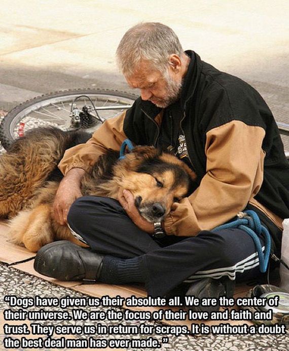 dog_quotes