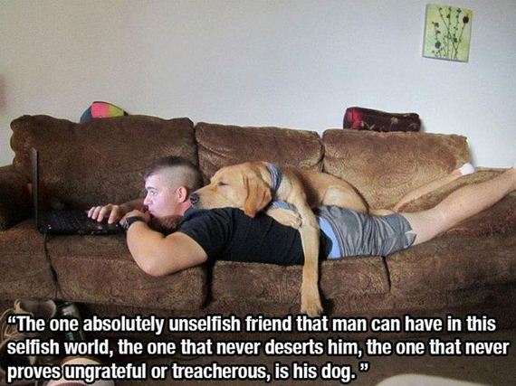 dog_quotes